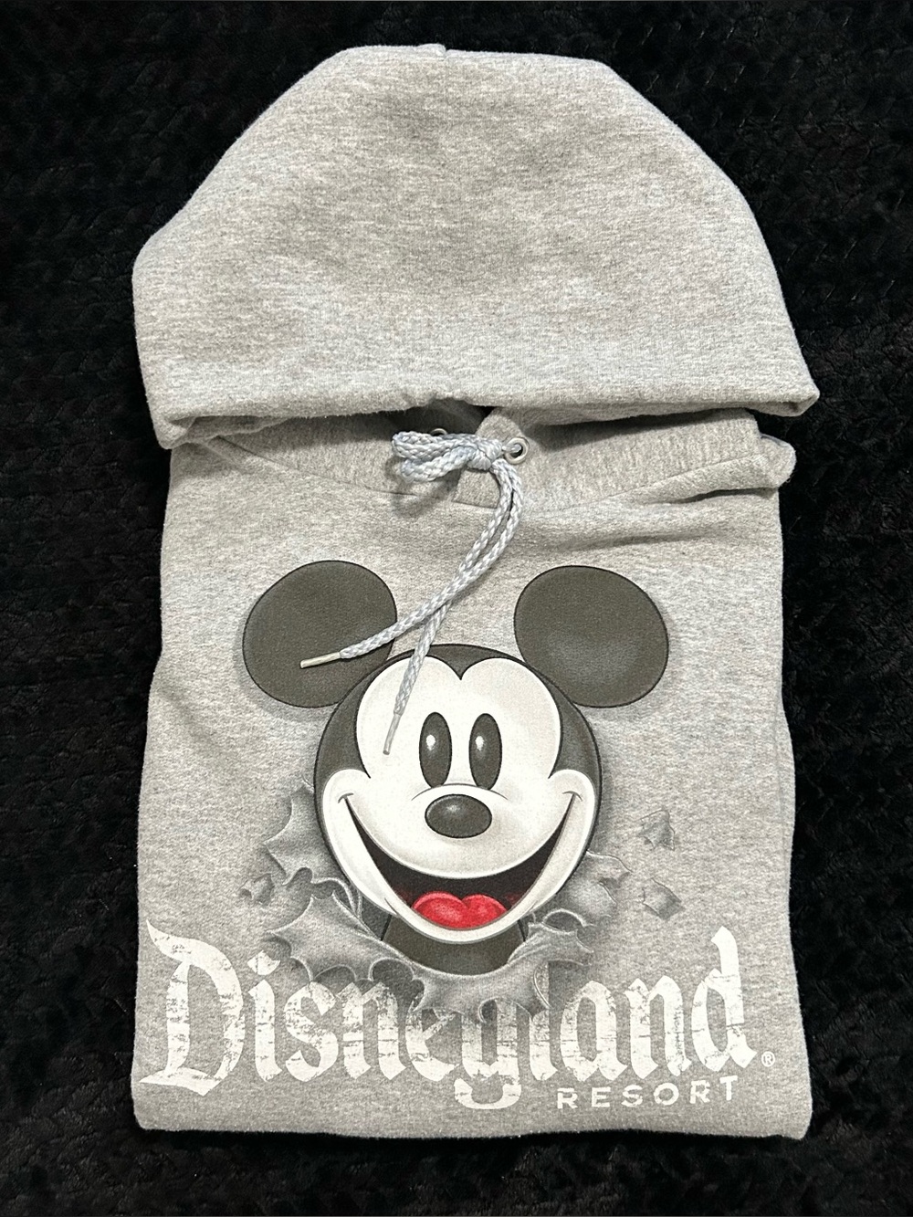 Vintage Disneyland Resort Mickey Mouse Hanes Hoodie Gray Size Small